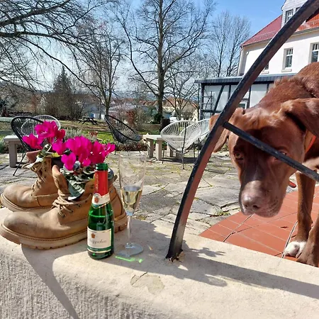 Hotel Kapelle Bed & Breakfast-2